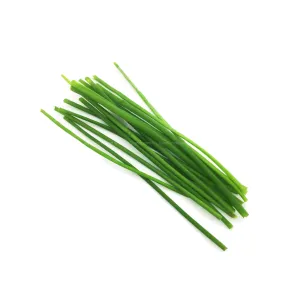 Cameron Garden Chive (Malaysia) 10g