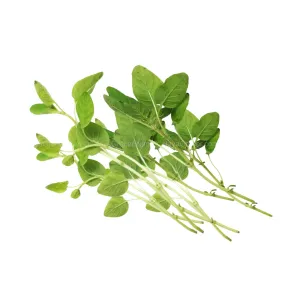 Cameron Garden Oregano Leaves 10g