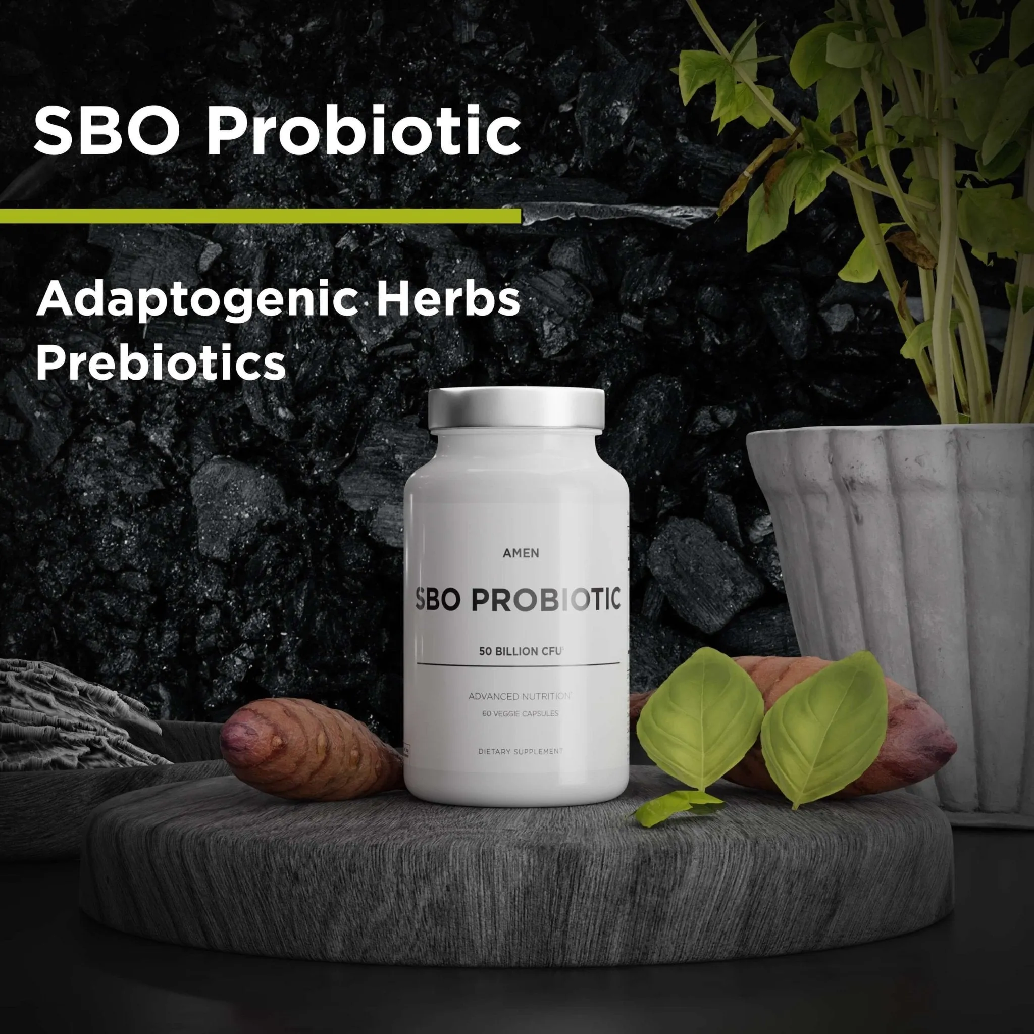 Codeage Amen SBO Probiotic 50 Billion CFUs