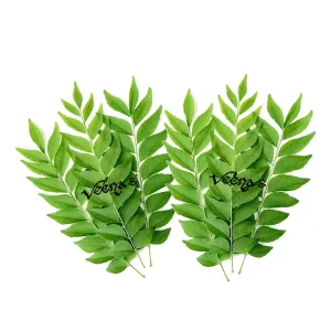 Curry Leaves 20g (Approx) (Bundle of 2 Units)