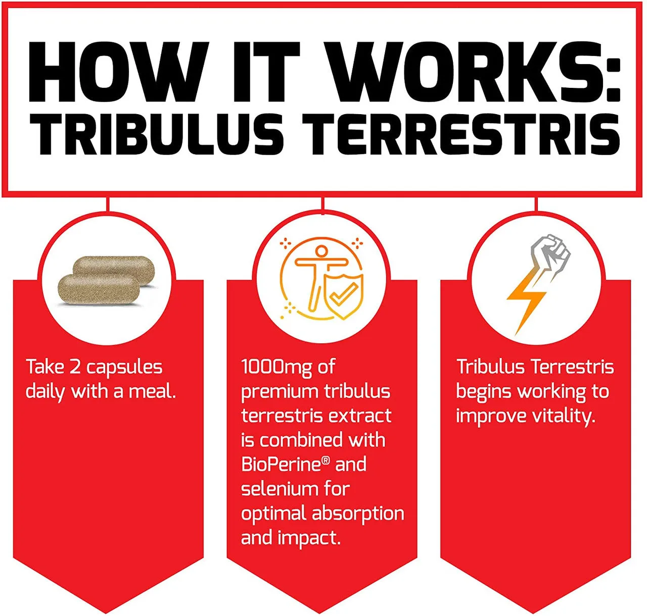 Force Factor Tribulus Terrestris