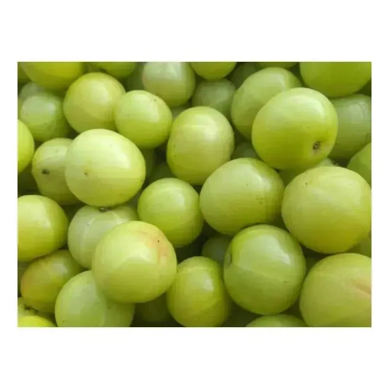 Fresh Amla