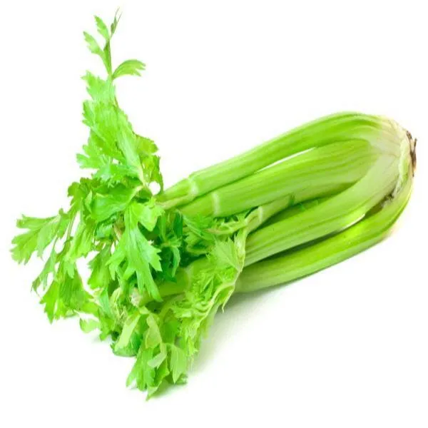 Fresh Celery Bunch