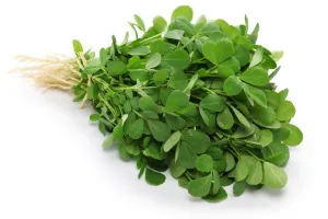 Fresh Methi 1 Bunch