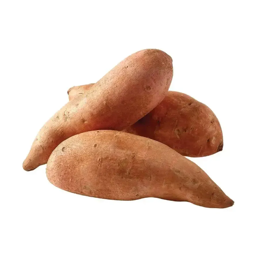 Fresh Sweet Potato