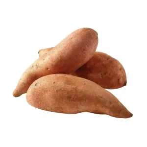 Fresh Sweet Potato