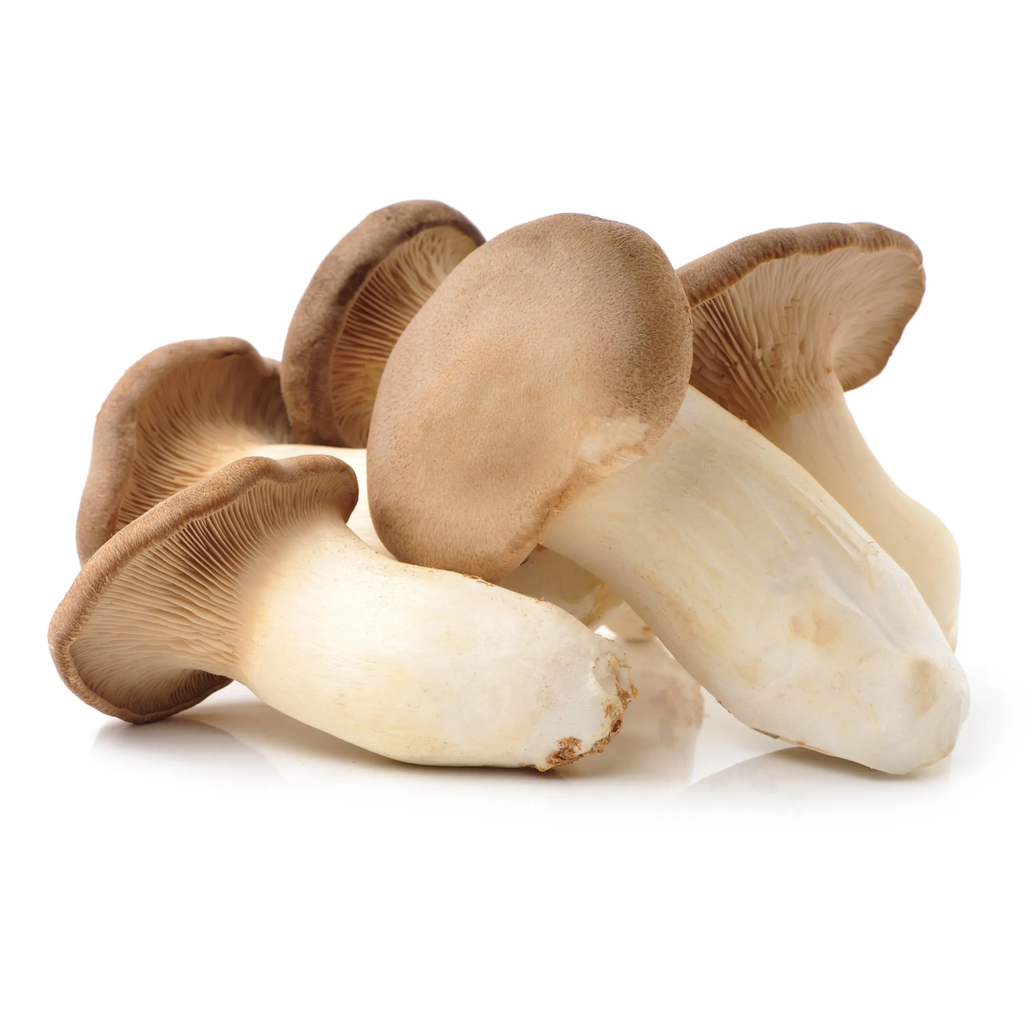 Fresh Thai King Oyster (Eryngii) Mushrooms 200g - Imported Weekly from Thailand