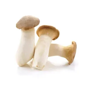 King Oyster (Eringii) Mushroom 200g