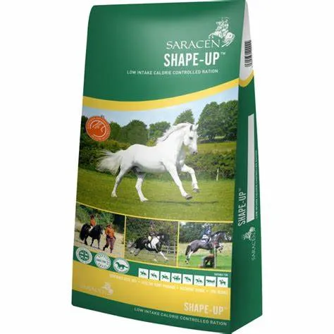 Saracen Shape Up Low Calorie Mix 20Kg